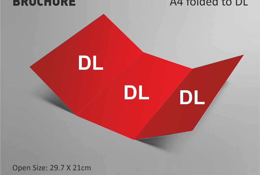 A4 Folded To DL Size Brochure
